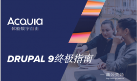 Drupal 9终极指南